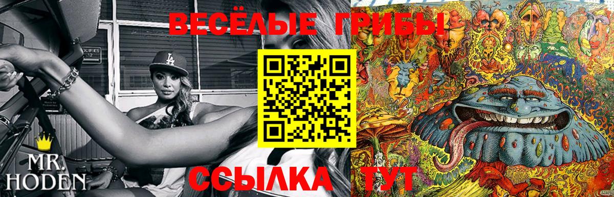 Псилоцибиновые грибы прущие грибы  Псилоцибиновые грибы мухоморы  Вход с VPN  Родники 